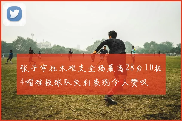 张子宇独木难支全场最高28分10板4帽难救球队失利表现令人赞叹
