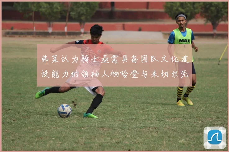 弗莱认为骑士亟需具备团队文化建设能力的领袖人物哈登与米切尔无法胜任