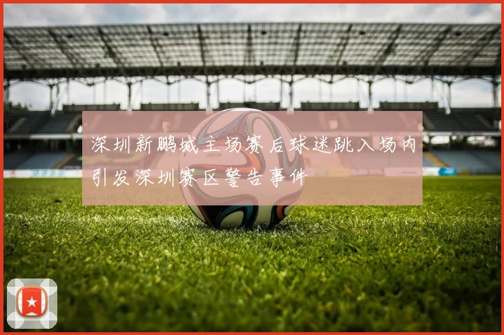 深圳新鹏城主场赛后球迷跳入场内引发深圳赛区警告事件