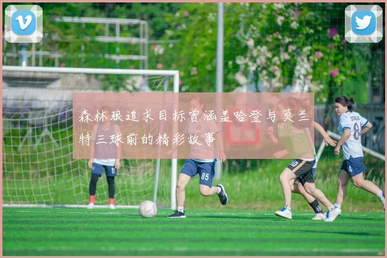 森林狼追求目标曾涵盖哈登与莫兰特三球前的精彩故事